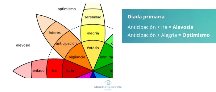 rueda-emociones-anticipacion